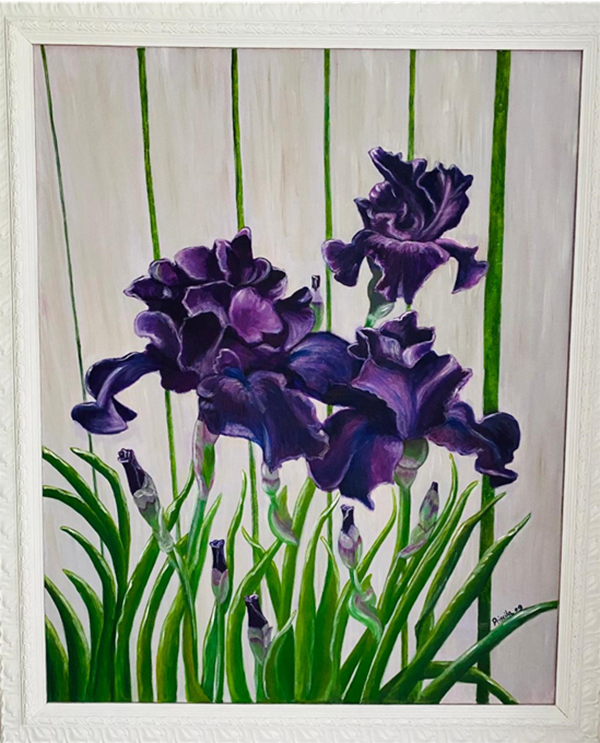 Purple iris